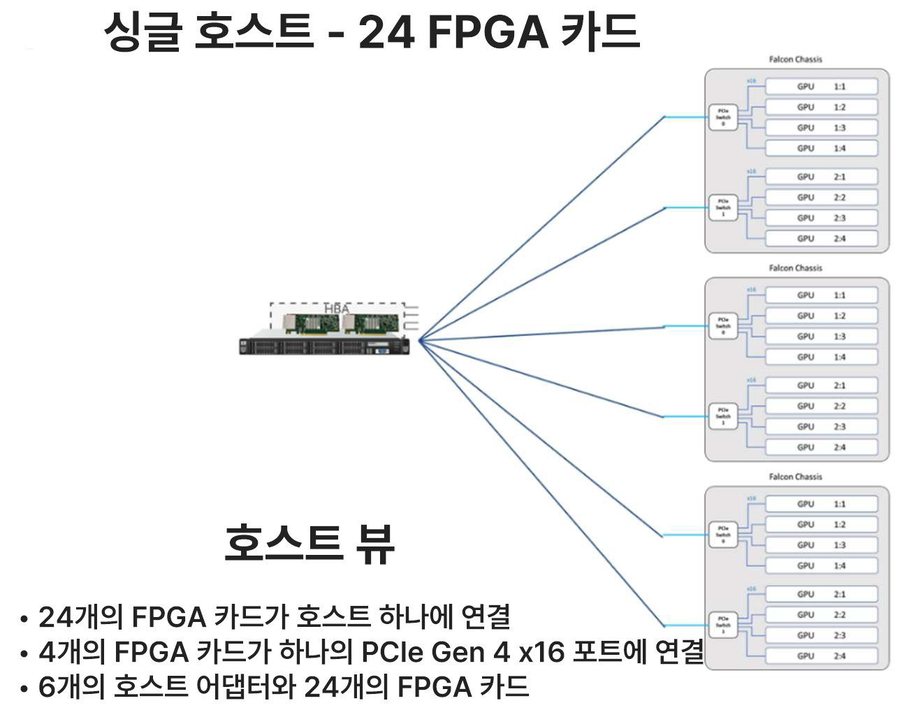 3개의 Falcon 4210을 활용하여 하나의 CPU 호스트에 24개의 FPGA를 연결